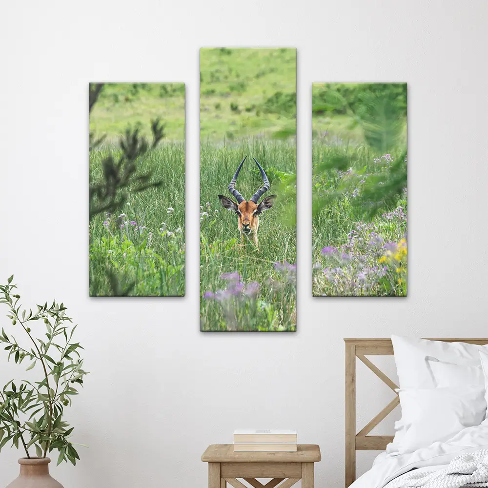 Triptych Split Canvas